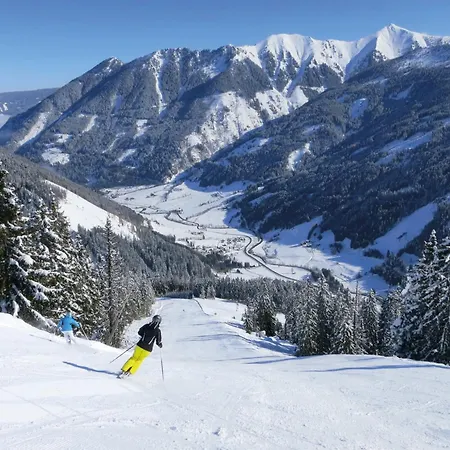 Der Sagbauer Donnersbachwald